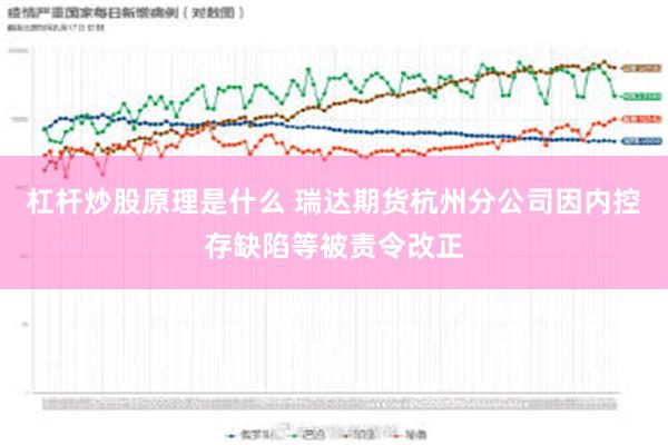 杠杆炒股原理是什么 瑞达期货杭州分公司因内控存缺陷等被责令改正