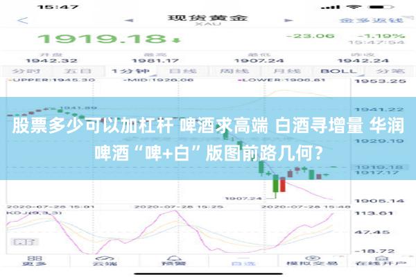 股票多少可以加杠杆 啤酒求高端 白酒寻增量 华润啤酒“啤+白”版图前路几何？