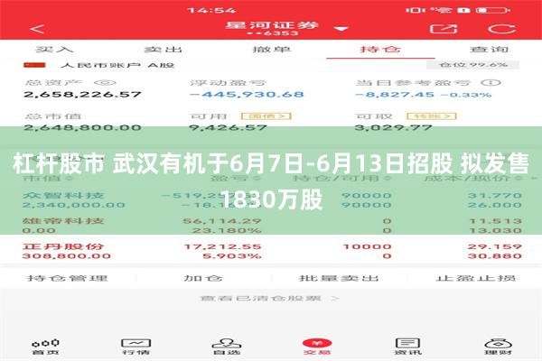 杠杆股市 武汉有机于6月7日-6月13日招股 拟发售1830万股