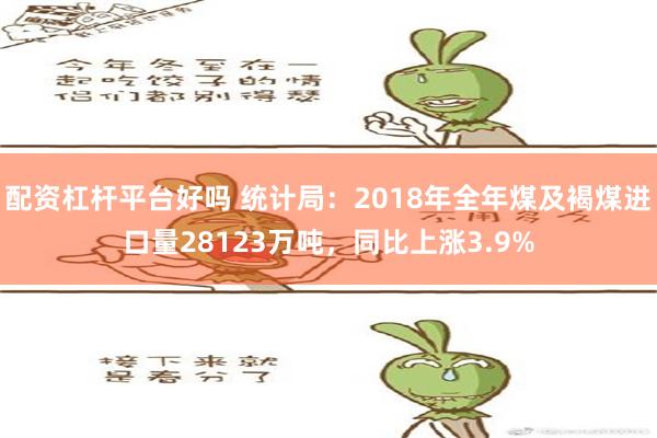 配资杠杆平台好吗 统计局：2018年全年煤及褐煤进口量28123万吨，同比上涨3.9%