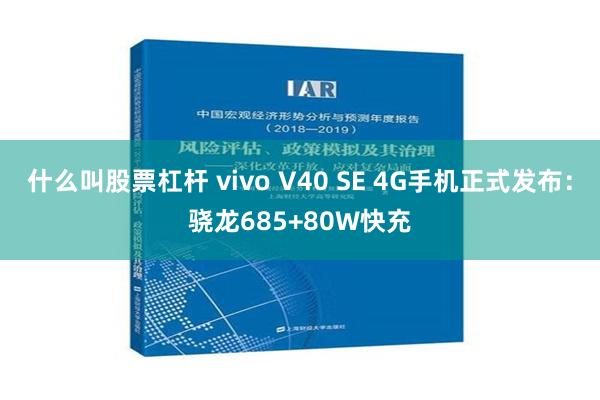 什么叫股票杠杆 vivo V40 SE 4G手机正式发布：骁龙685+80W快充