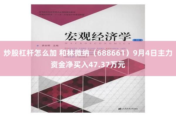 炒股杠杆怎么加 和林微纳（688661）9月4日主力资金净买入47.37万元