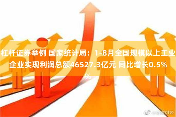 杠杆证券举例 国家统计局：1-8月全国规模以上工业企业实现利润总额46527.3亿元 同比增长0.5%