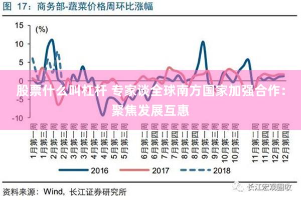 股票什么叫杠杆 专家谈全球南方国家加强合作：聚焦发展互惠