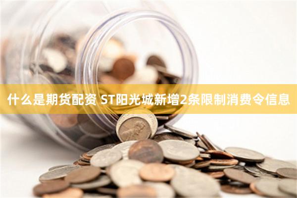 什么是期货配资 ST阳光城新增2条限制消费令信息