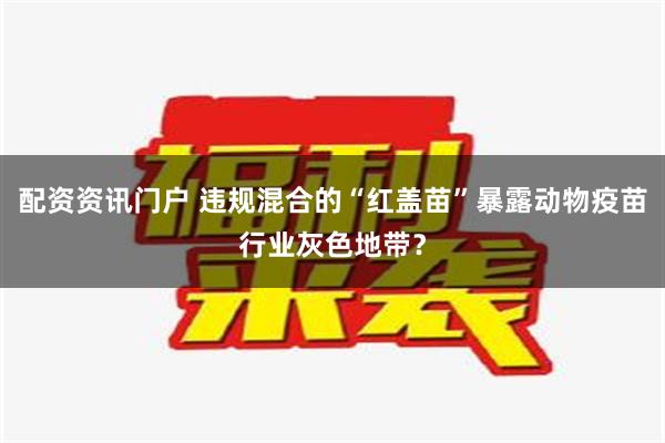 配资资讯门户 违规混合的“红盖苗”暴露动物疫苗行业灰色地带？