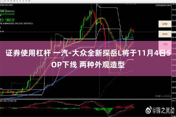 证券使用杠杆 一汽-大众全新探岳L将于11月4日SOP下线 两种外观造型