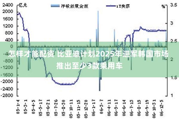 怎样才能配资 比亚迪计划2025年进军韩国市场 推出至少3款乘用车