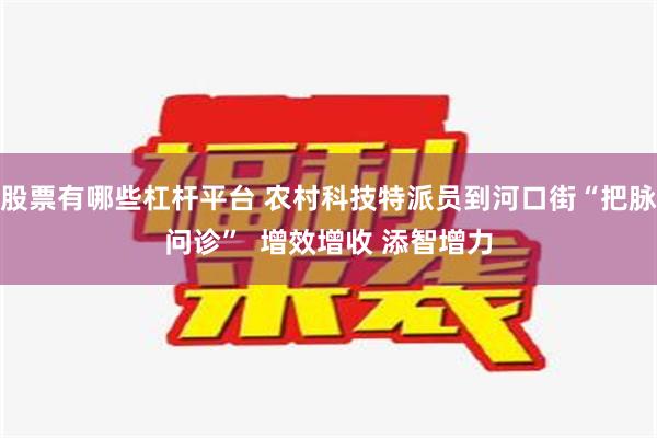 股票有哪些杠杆平台 农村科技特派员到河口街“把脉问诊”  增效增收 添智增力