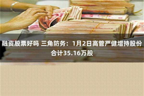 融资股票好吗 三角防务：1月2日高管严健增持股份合计35.16万股