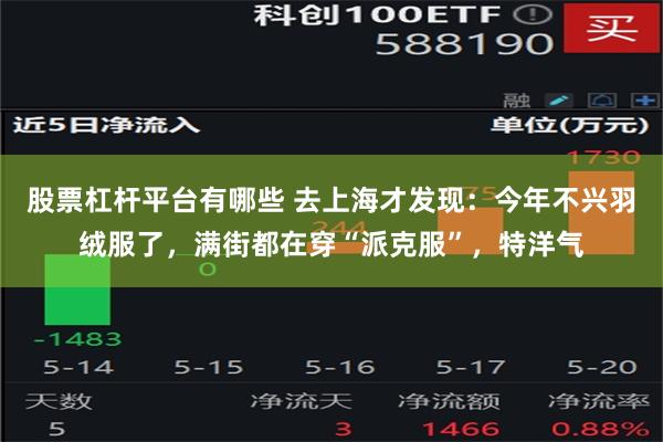 股票杠杆平台有哪些 去上海才发现：今年不兴羽绒服了，满街都在穿“派克服”，特洋气