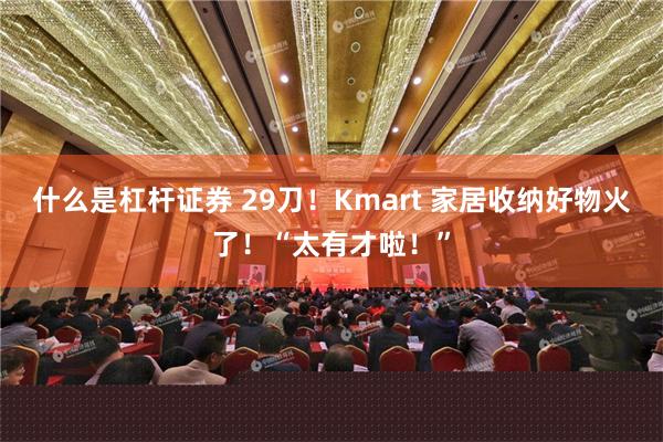 什么是杠杆证券 29刀！Kmart 家居收纳好物火了！“太有才啦！”